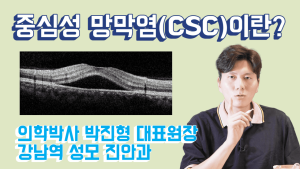 중심성 망막염, 안저검사, 망막 염증