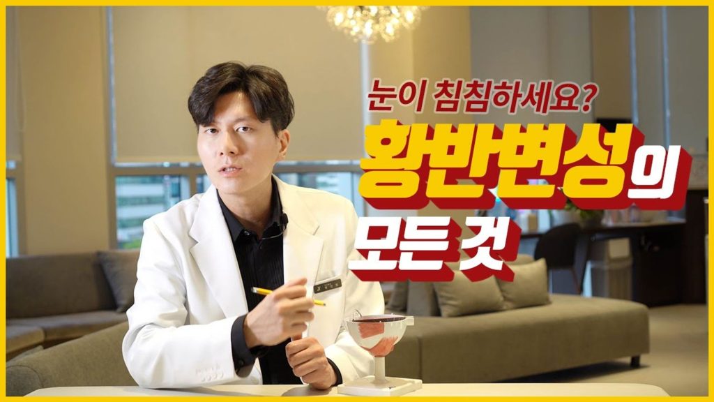 황반변성, 망막박리, 당뇨망막병증, 안저검사