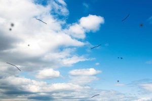 눈에 이상한 잔상, 비문증 자연 치료, 비문증 증상, 비문증 없애는 법, 비문증 원인