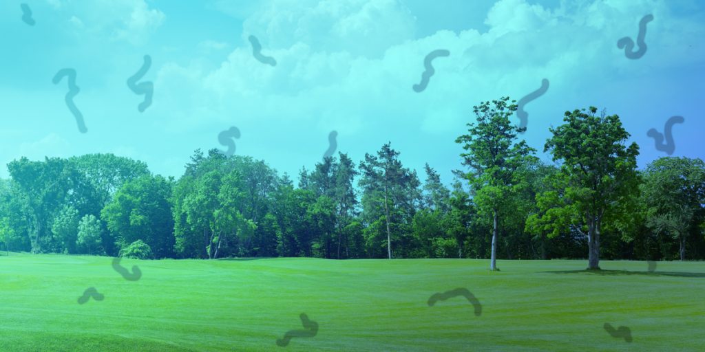 비문증 없애는 법, 비문증 완치 사례, 비문증 원인, 눈에 검은 잔상, 망막질환 종류