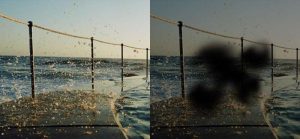 황반변성 치료, 황반변성 초기증상, 황반변성 증상, 눈 실명, 황반변성 원인