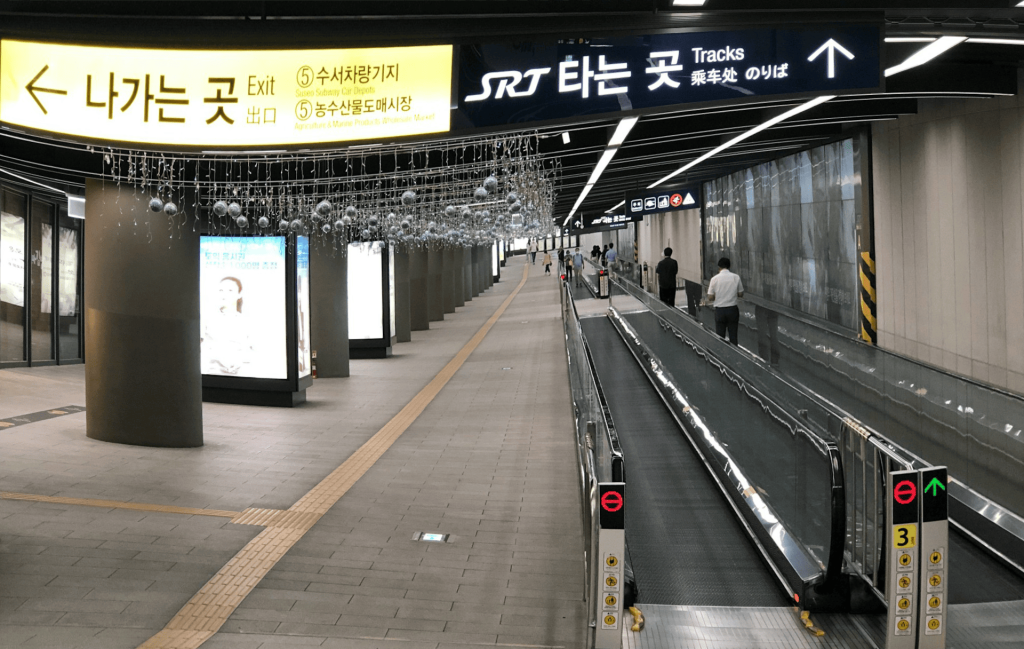  망막 전막, 황반주름, 암슬러격자, OCT 검사, 유리체 절제술