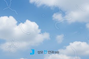 망막박리 골든 타임, 망막박리 치료, 망막박리 진행 속도, 망막박리 실명 확률, 망막박리 예방