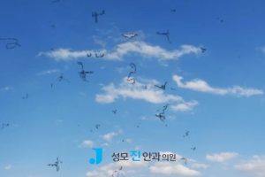 망막 주사, 눈에 이상한 잔상, 망막질환 종류, 망막 구조, 안구 내 주사