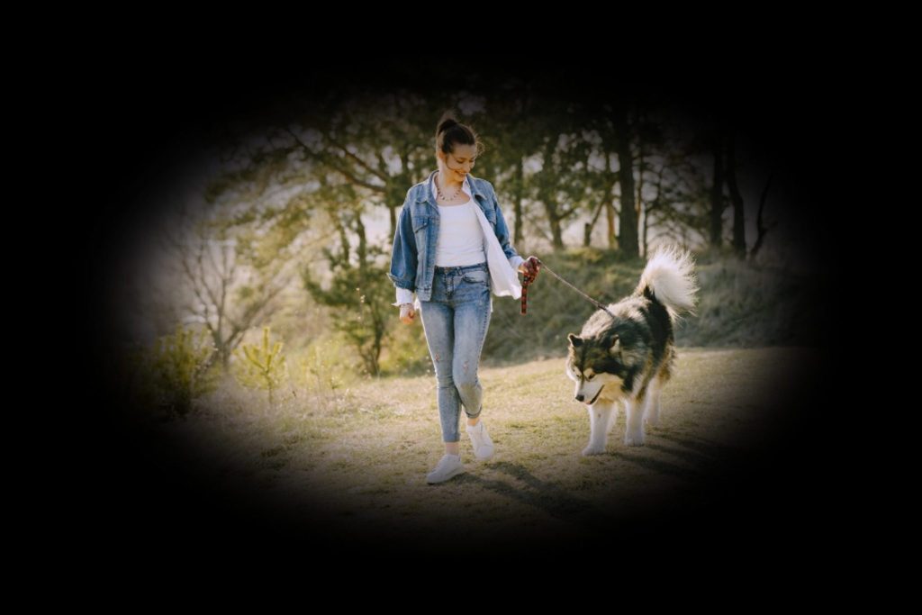 녹내장 눈동자, 녹내장 자가진단 각도, 녹내장에 안좋은 습관, 녹내장에 좋은 음식, 녹내장 영어로