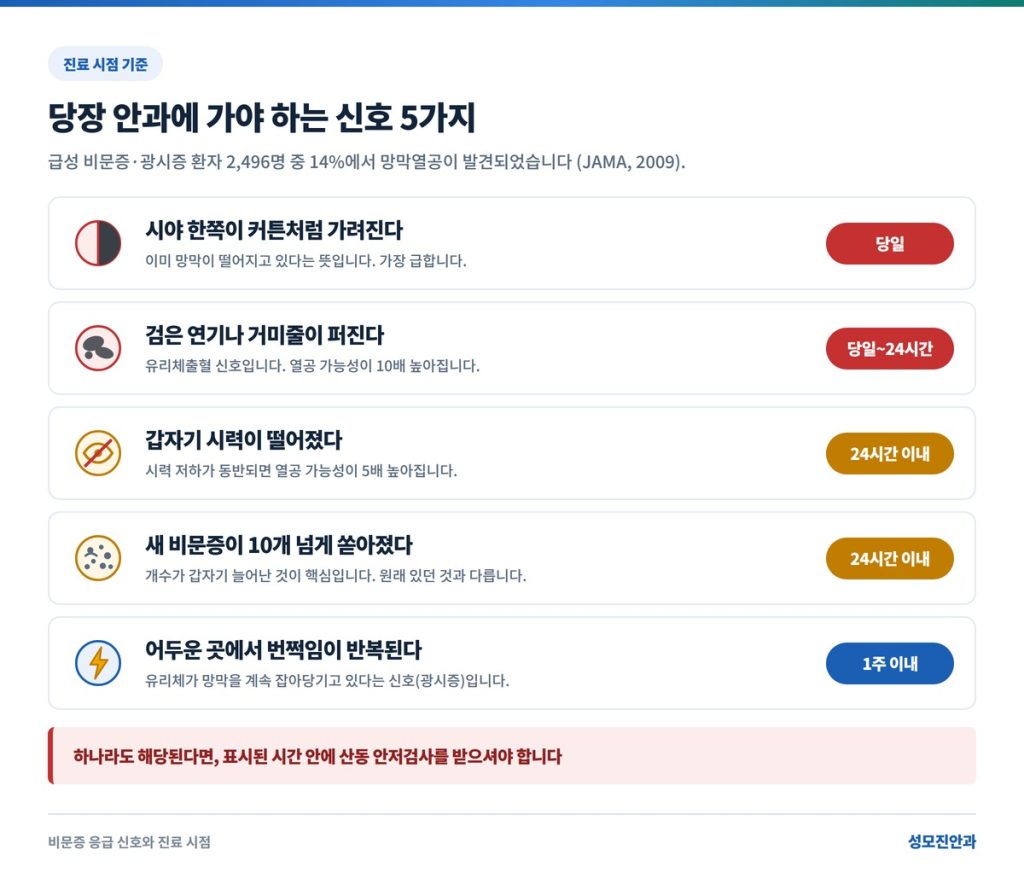 비문증의 증상