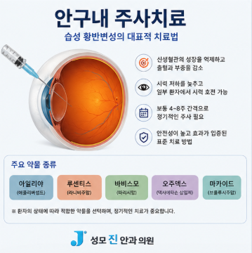 성모 진안과 황반변성 주사치료