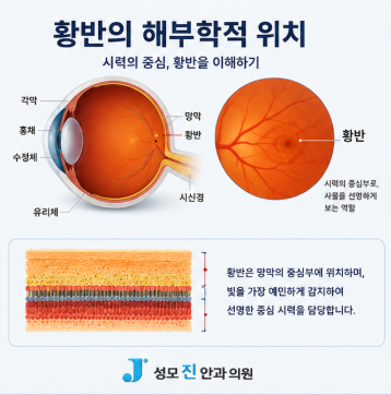성모진안과 황반변성 황반