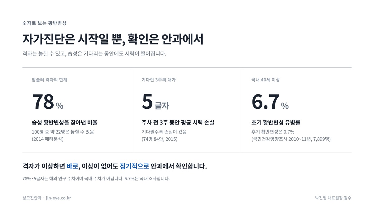 황반변성 숫자로 보기 — 암슬러 격자 민감도 78%, 주사 대기 3주 5글자 손실, 국내 40세 이상 초기 황반변성 6.7%